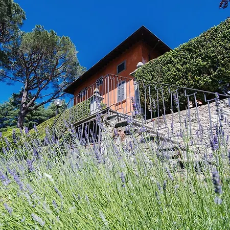 Solzago - By Myhomeincomo * Tavernerio